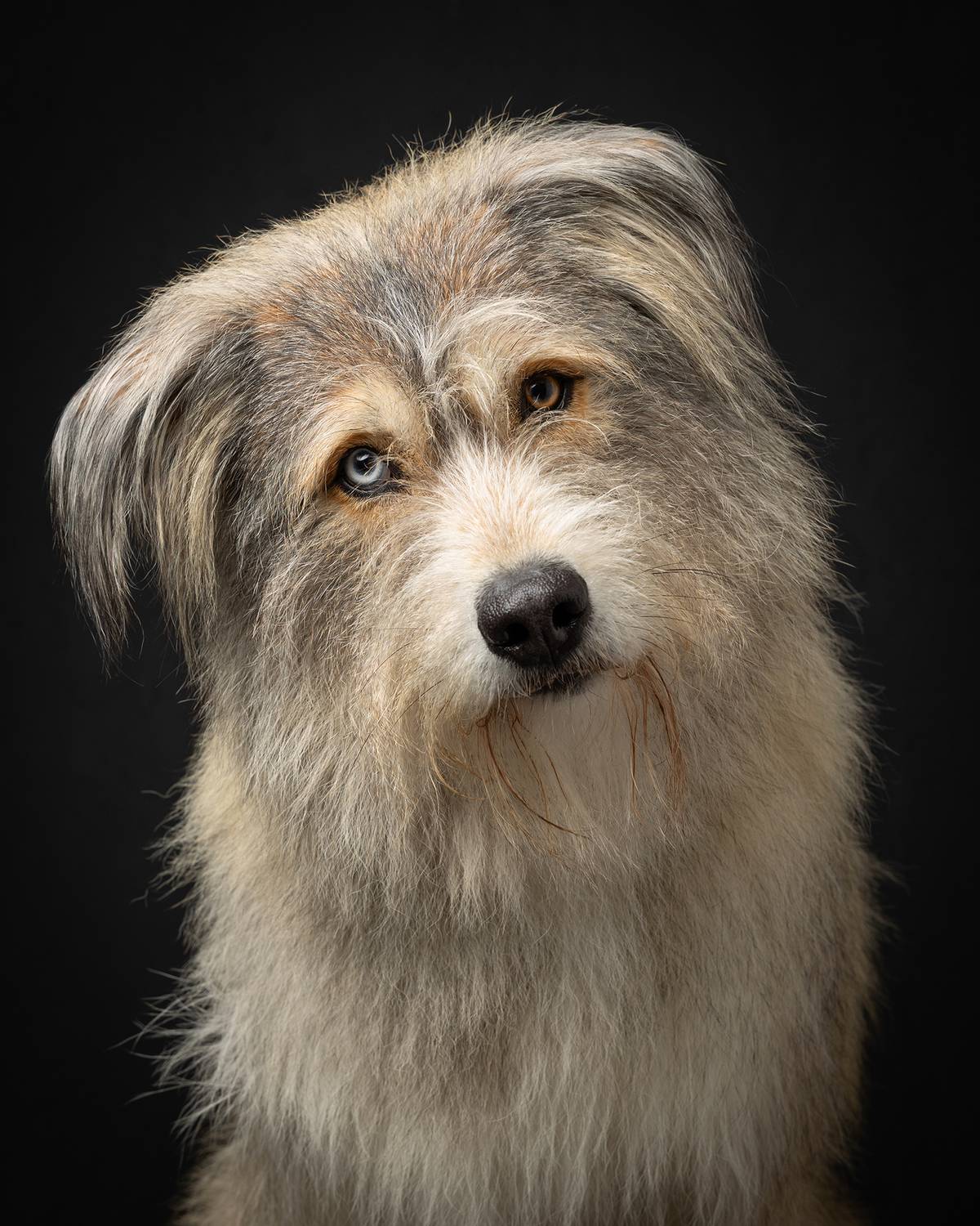 Hugo