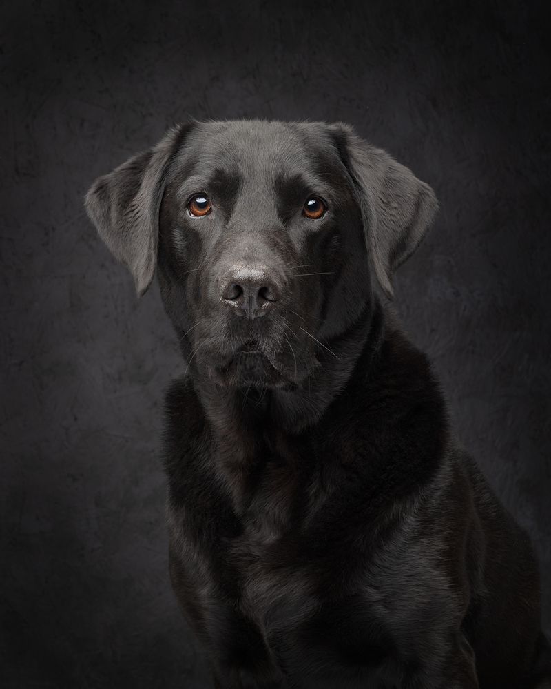 Milo