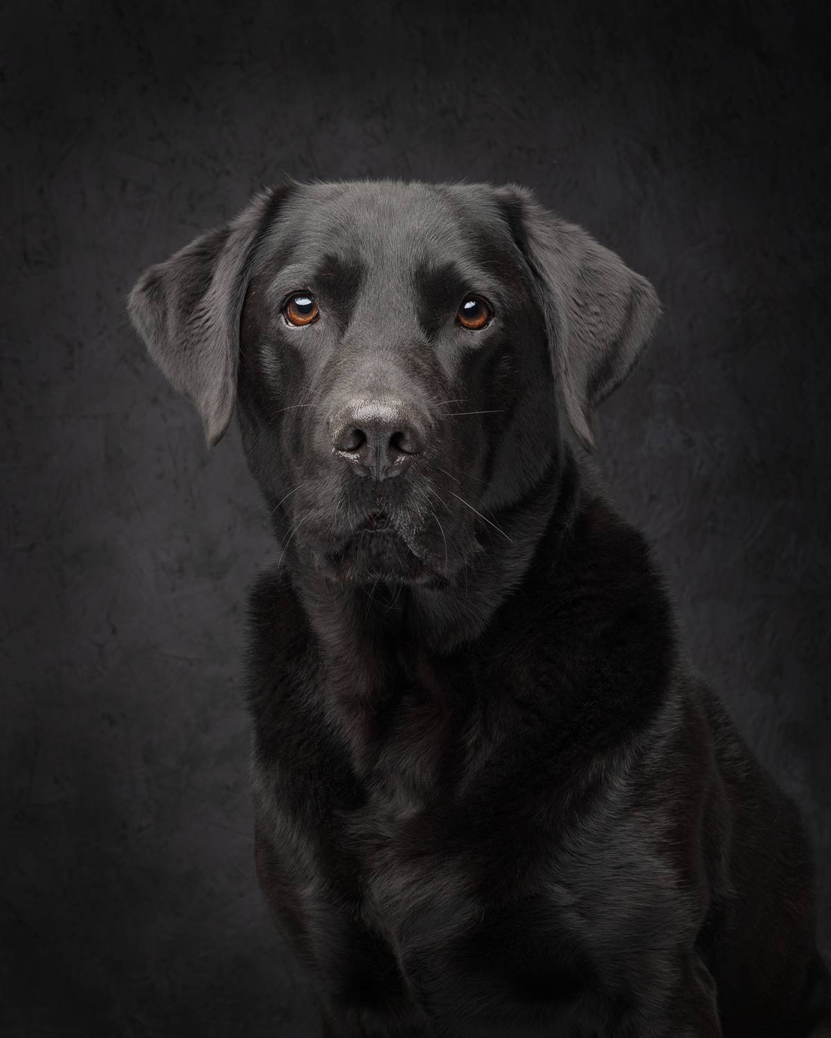 Milo