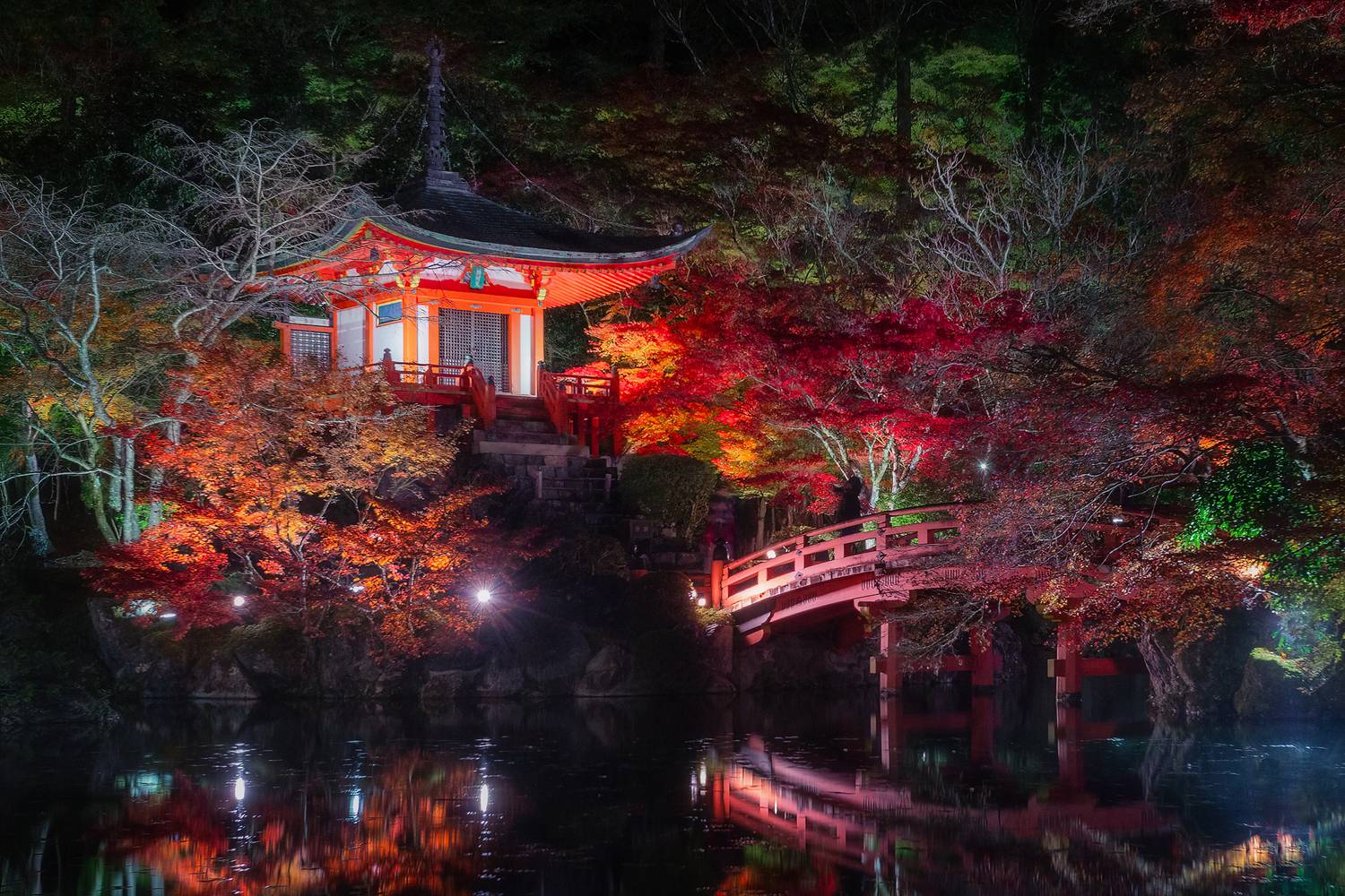 Фотография #13213532