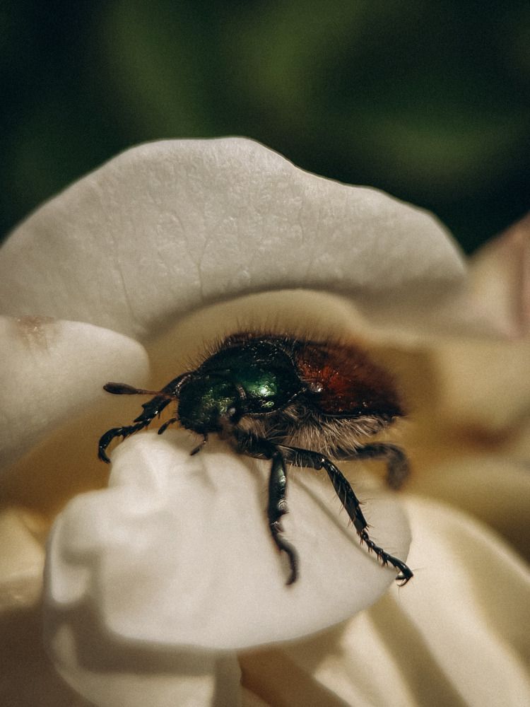 Photograph by Елена Михалева