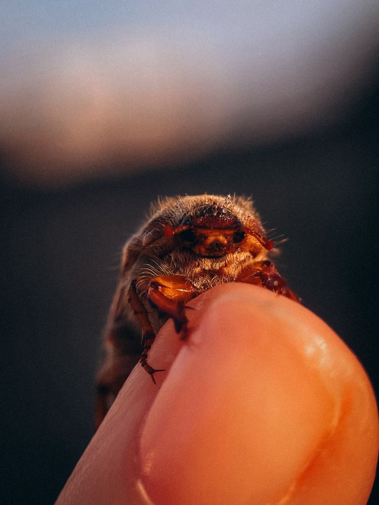 Photograph by Елена Михалева