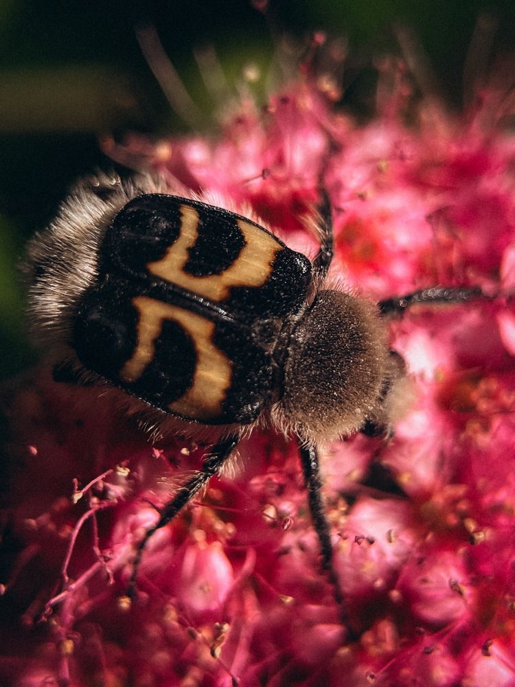 Photograph by Елена Михалева