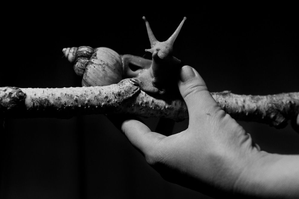 Photograph by Наталья Плотникова