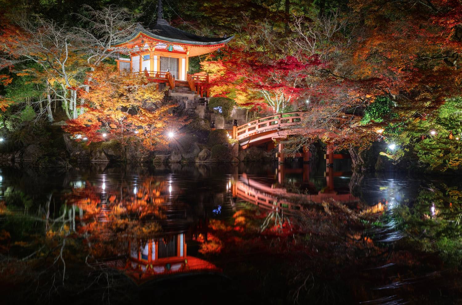 Фотография #13213551