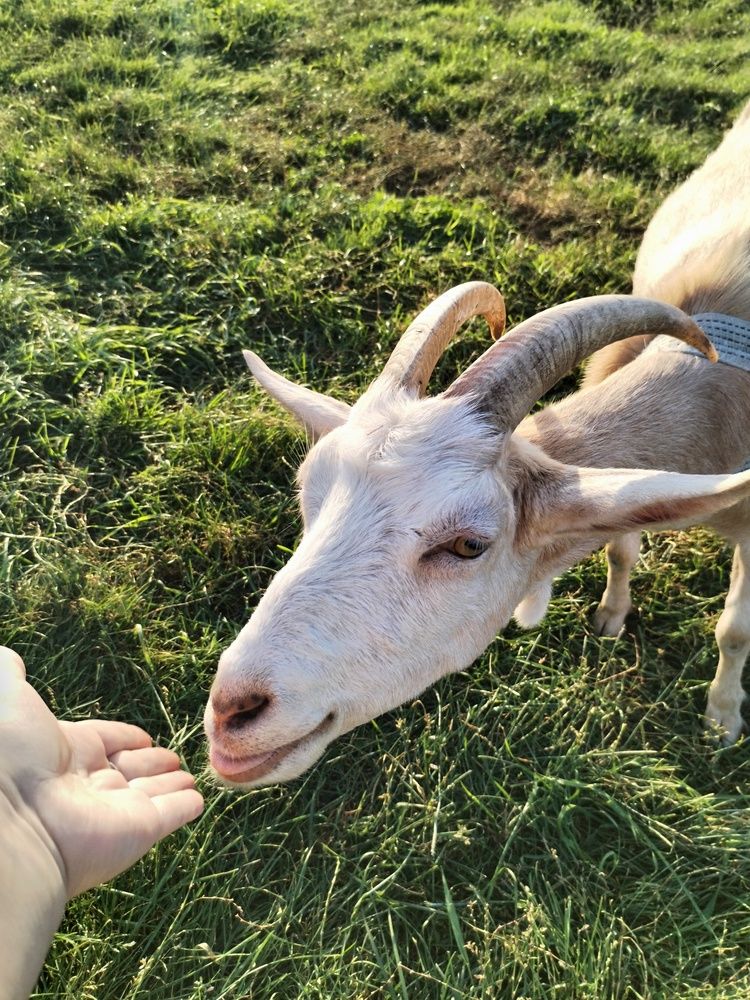 Фотография автора Альбина Хвастунова