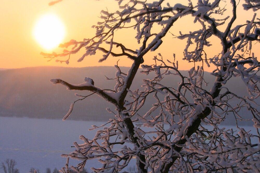 Photograph by Татьяна Шебаршенко