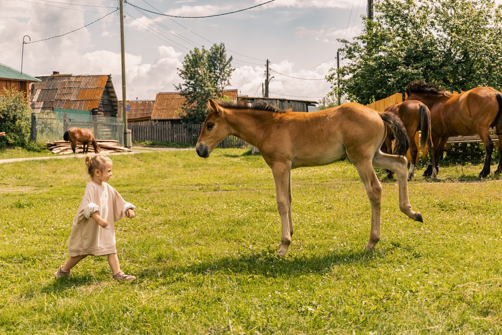 Photograph by Георгий Татарченко