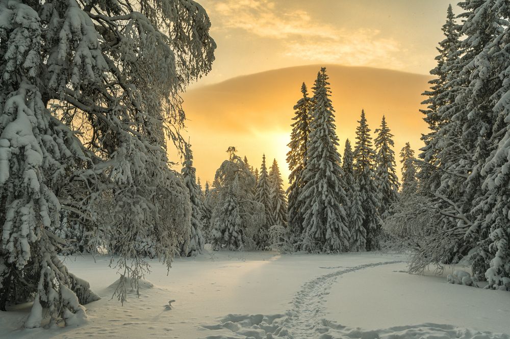 Фотография автора Кирилл Аксенов