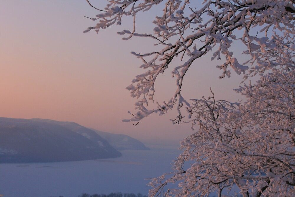 Photograph by Татьяна Шебаршенко