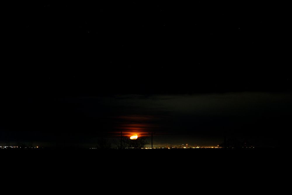 Photograph by Георгий Татарченко