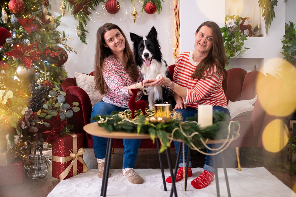 Photograph by Plamena Luchezarova