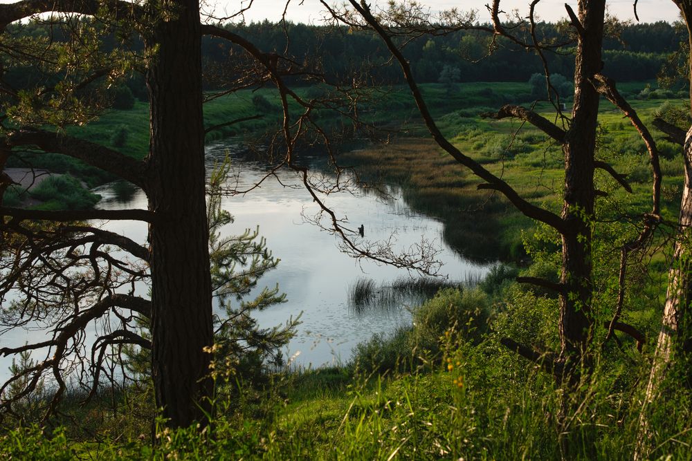 Photograph by Светлана Зайкова