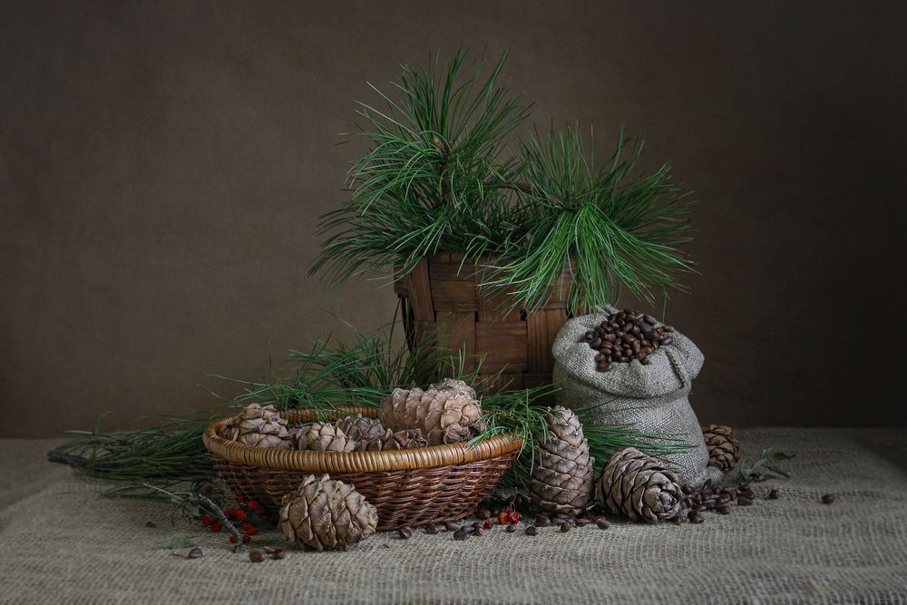 Photograph by Наталья Казанцева