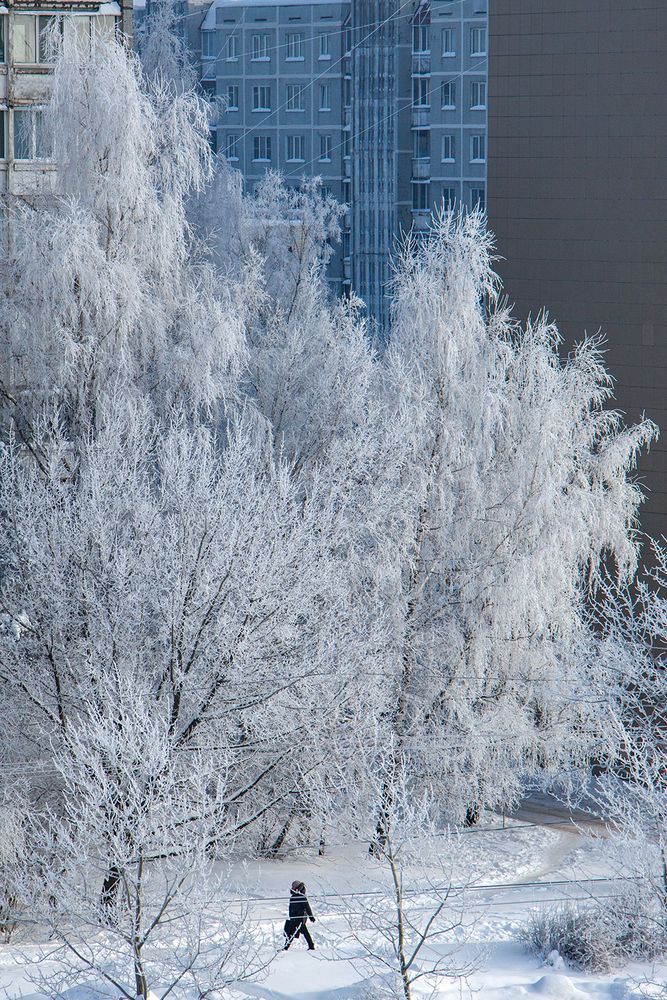 Photograph by Надежда Хрусталёва