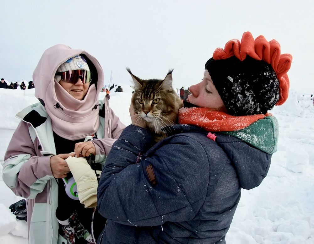 Photograph by Татьяна Шитлина