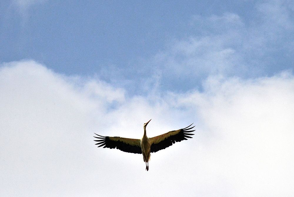 Photograph by Миша Автократов