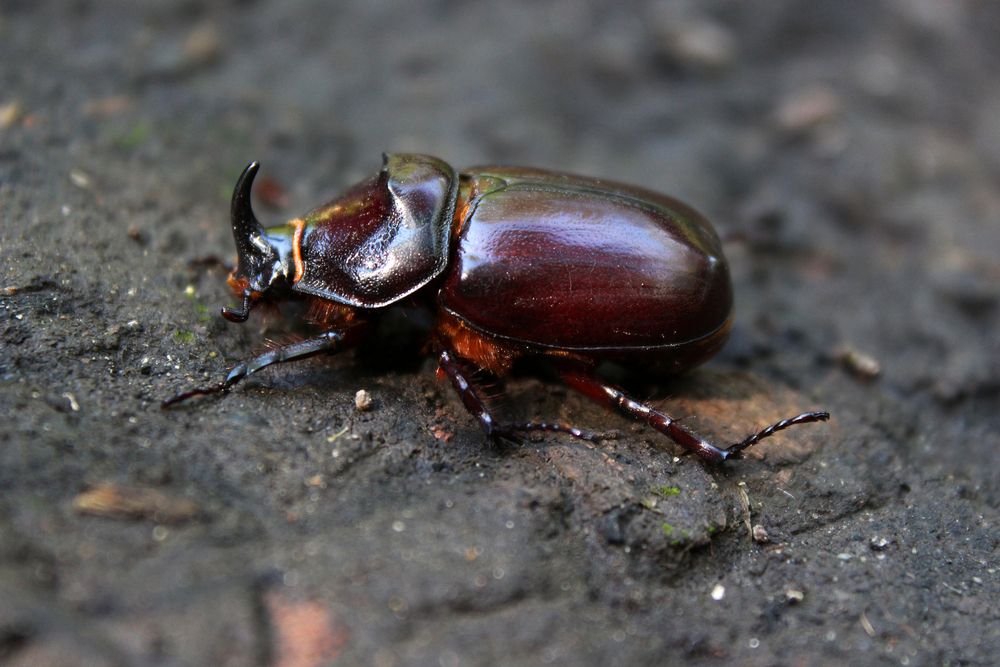 Photograph by Светлана Шубина