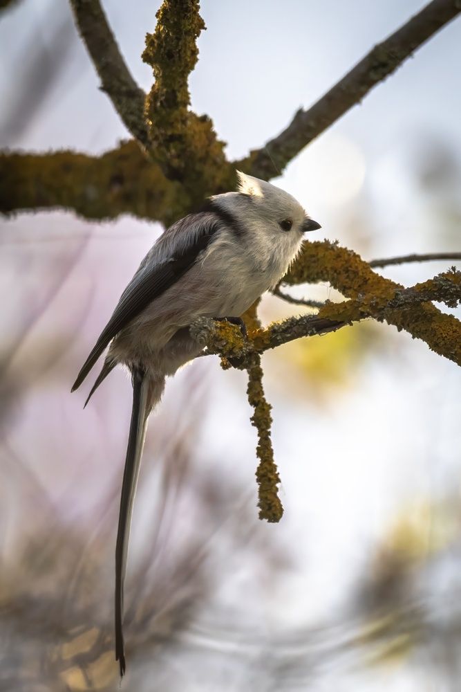 Photograph by Хабаров Сергей