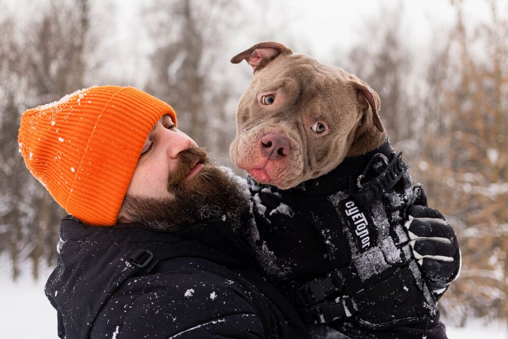 Photo #13213875