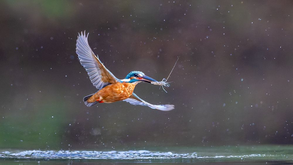 Photograph by Sanjay Risbood