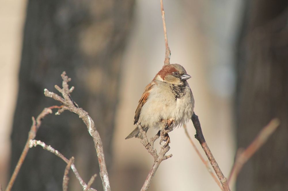 Photograph by Елена Чурынина