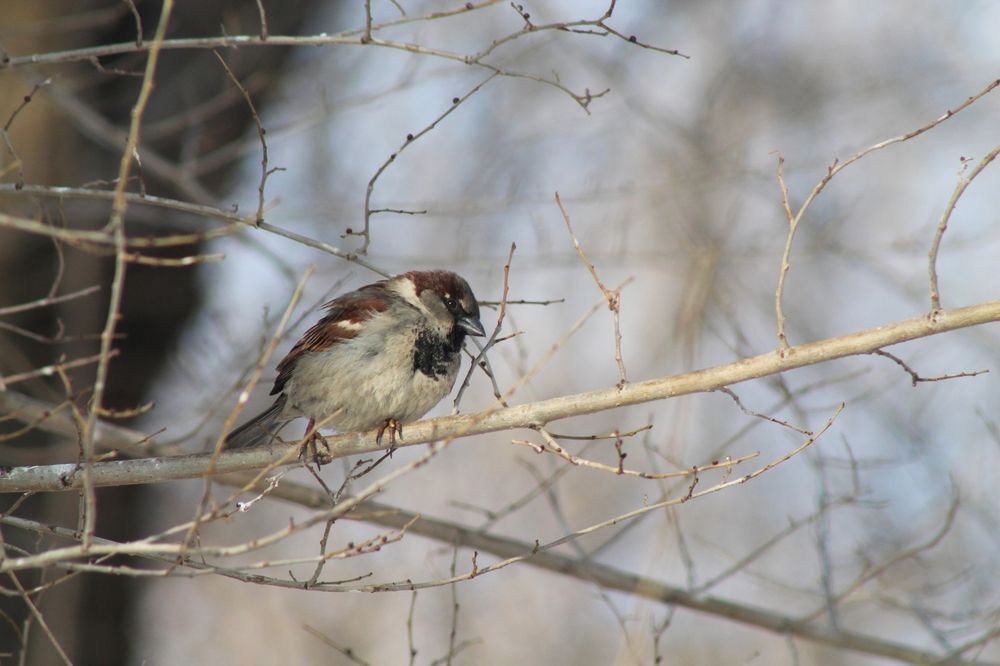 Photograph by Елена Чурынина