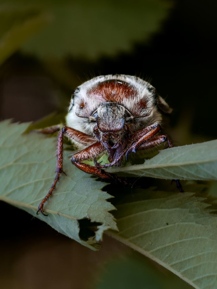 Photograph by Konstantin Martynov