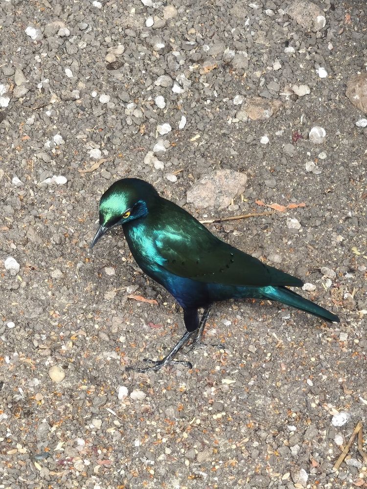 Photograph by Татьяна Петренко