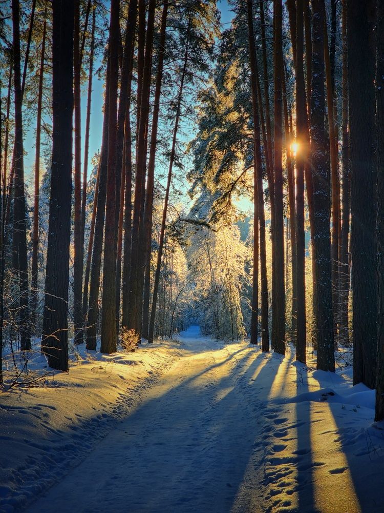 Photograph by Konstantin Martynov