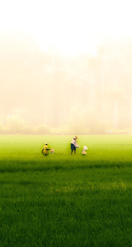 Photograph by sreejay tj