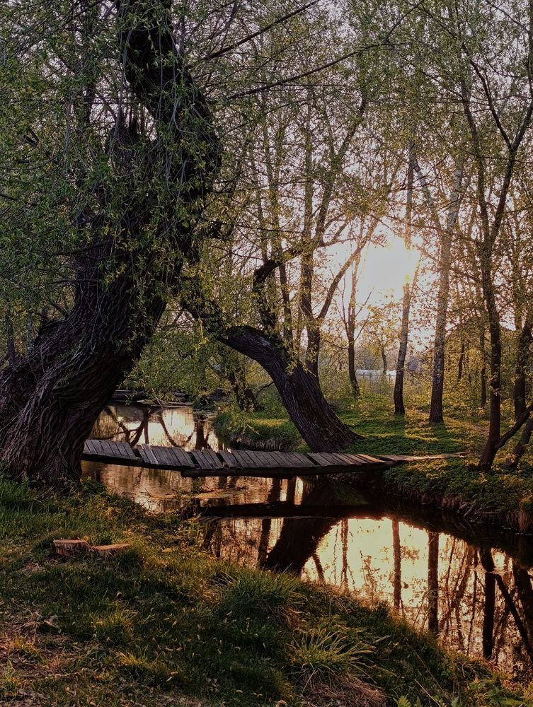 Photograph by Юлия