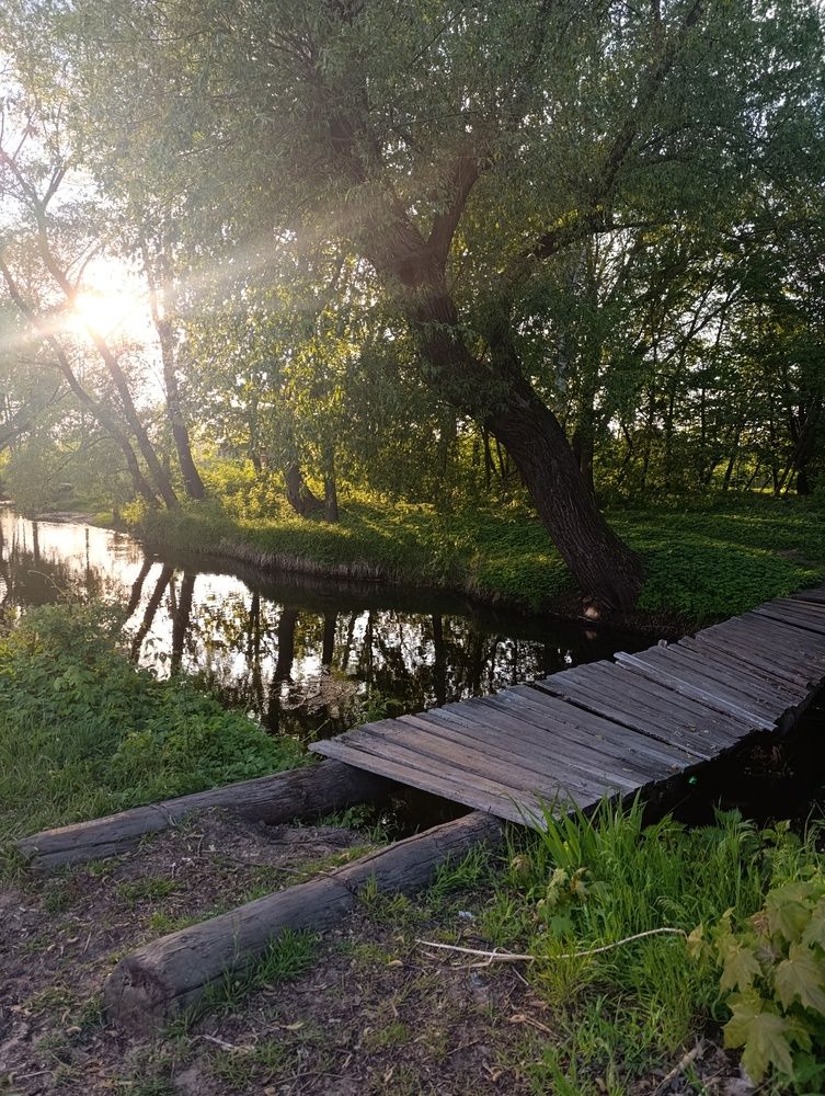 Photograph by Юлия