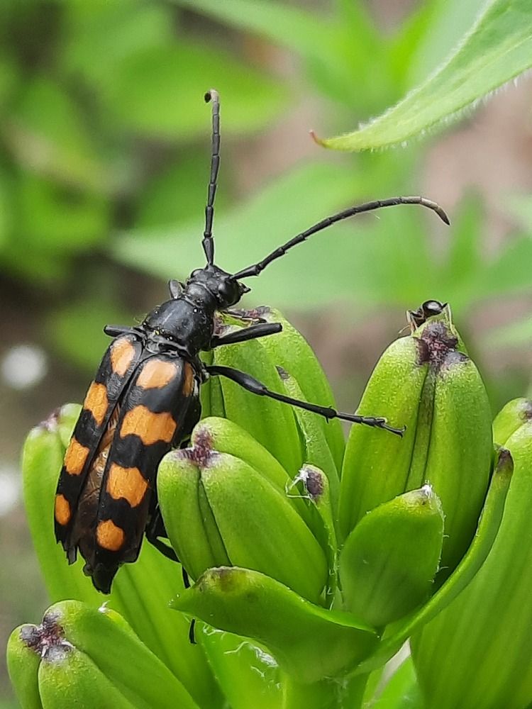 Photograph by Александр Лазебник