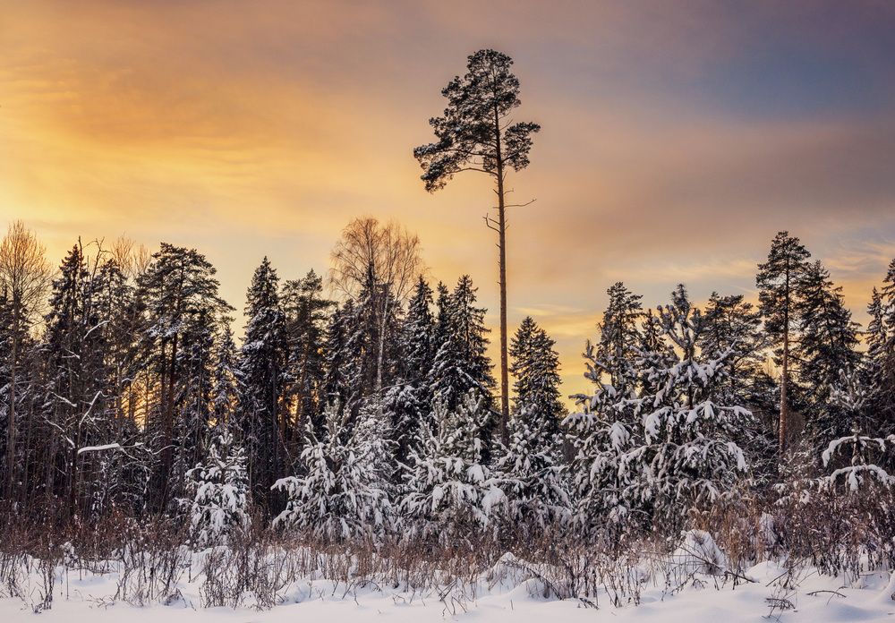 Photograph by Алексей Широбоков
