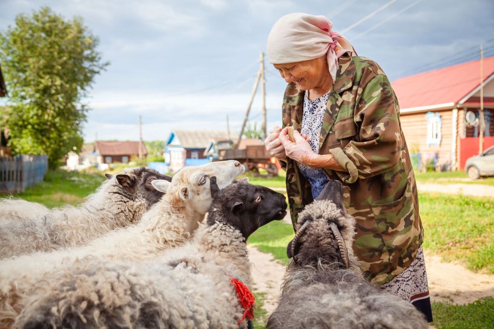 Photograph by Оля Васильева