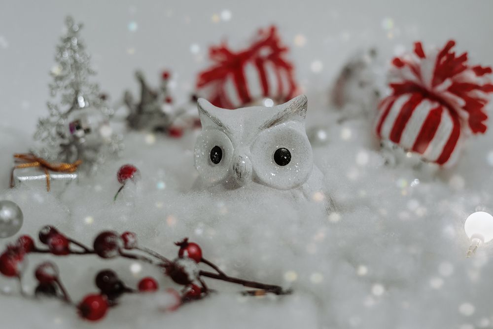 Photograph by Oxana Berezovskaya