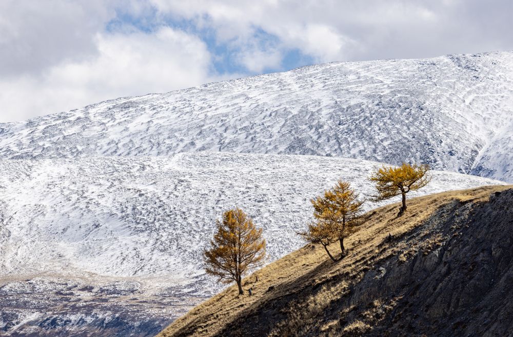Photograph by Одаренко Ольга