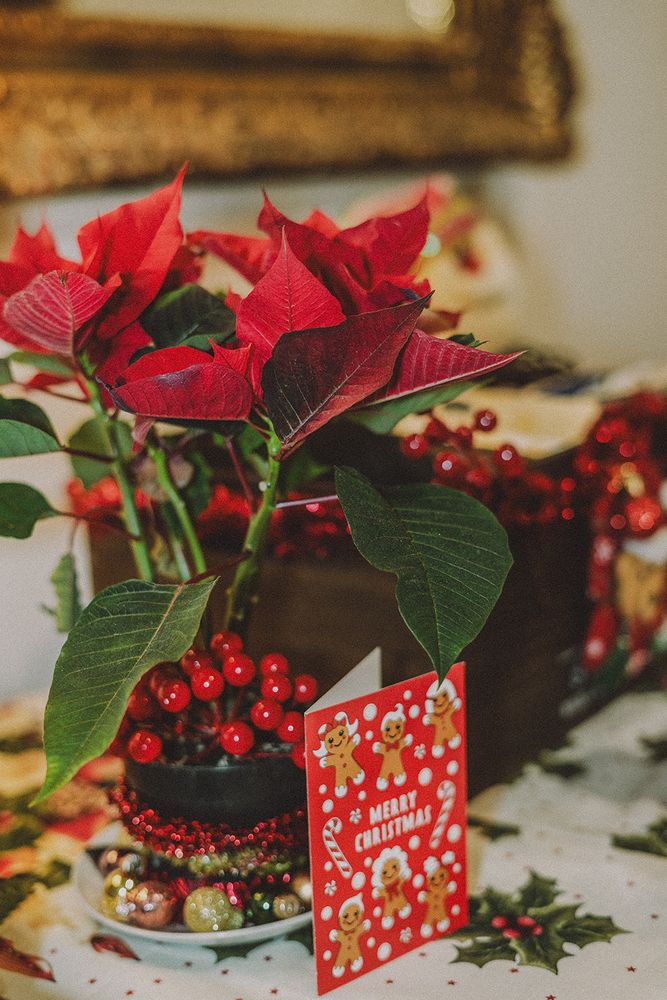 Photograph by Oxana Berezovskaya