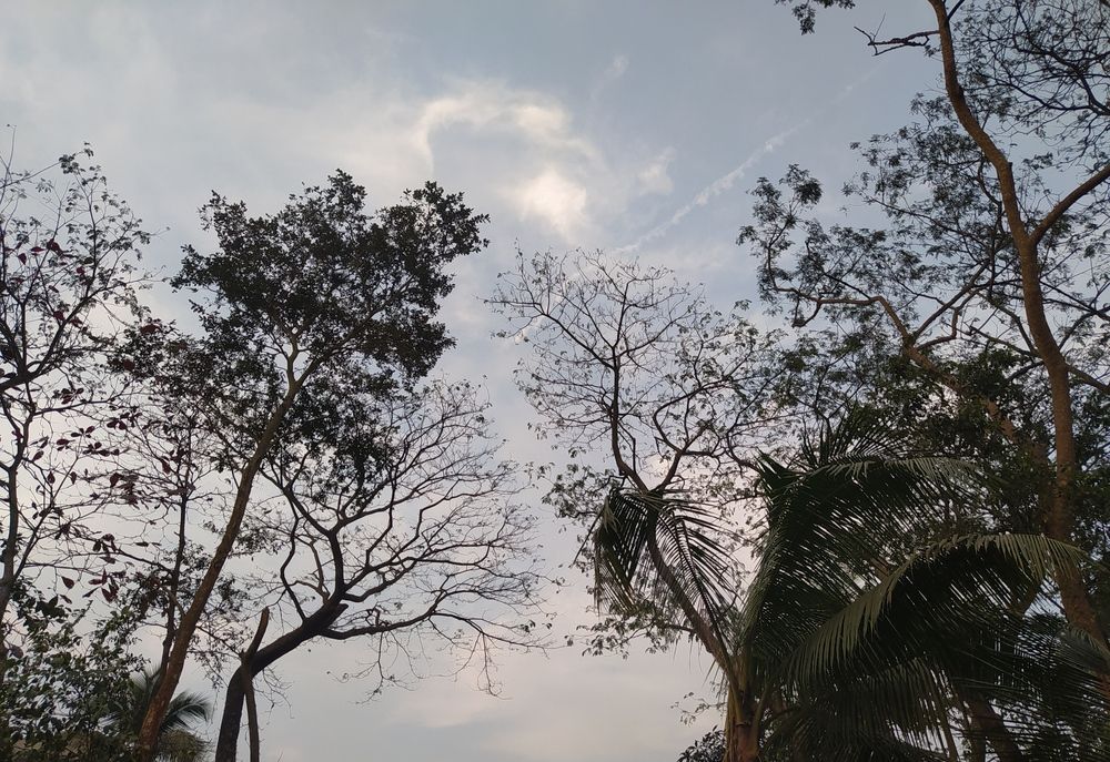 Sky signed symbol of heart