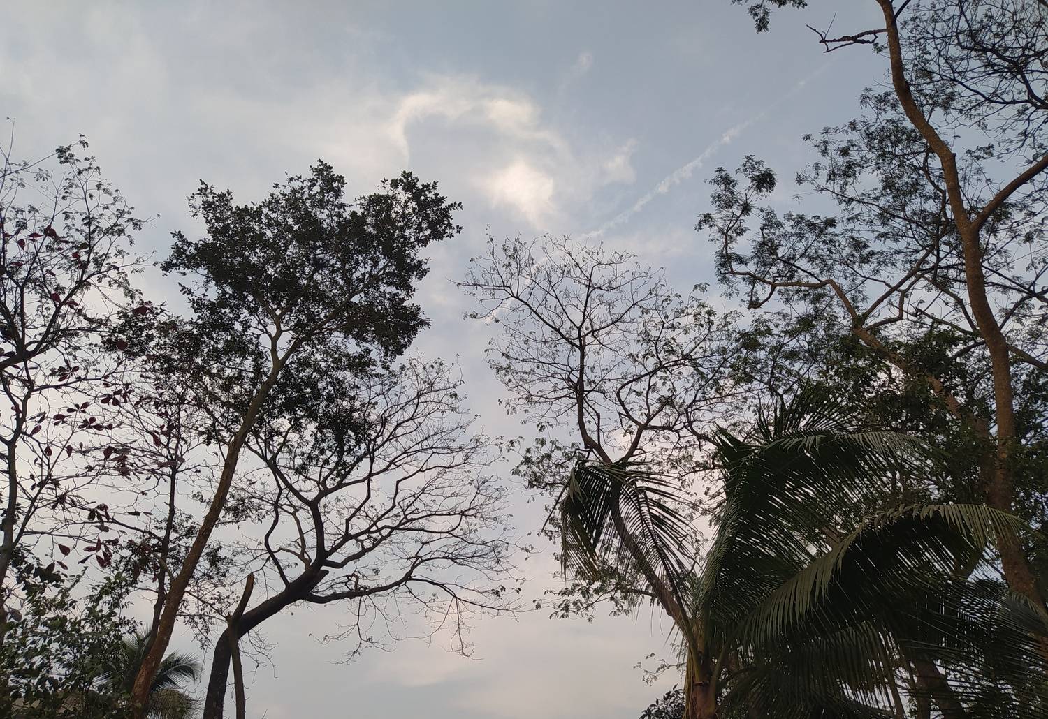 Sky signed symbol of heart Sky signed symbol of heart