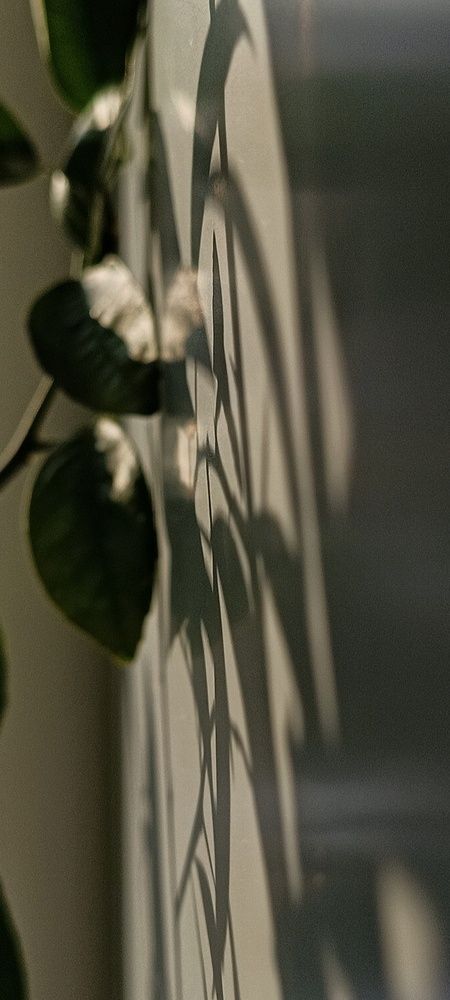 Photograph by Юлия Творогова