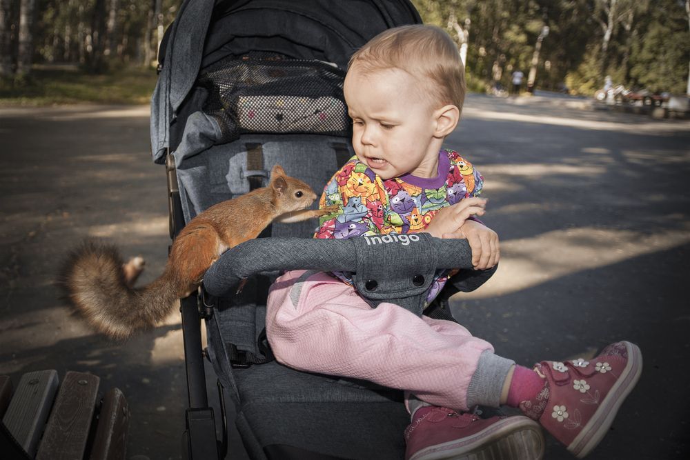 Photograph by Леонид Костин