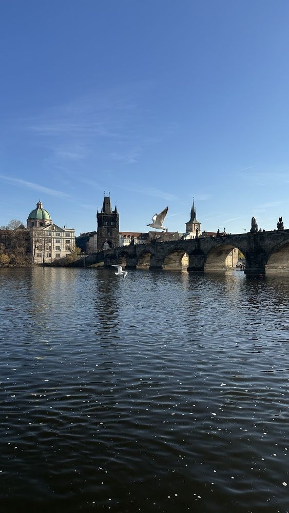 Photograph by Наталья Швед