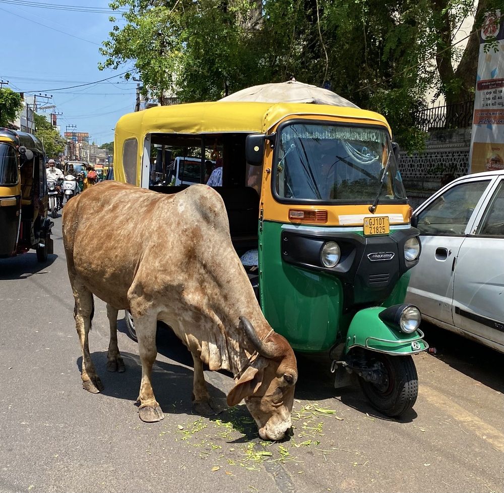 Photograph by Рожнов Кирилл