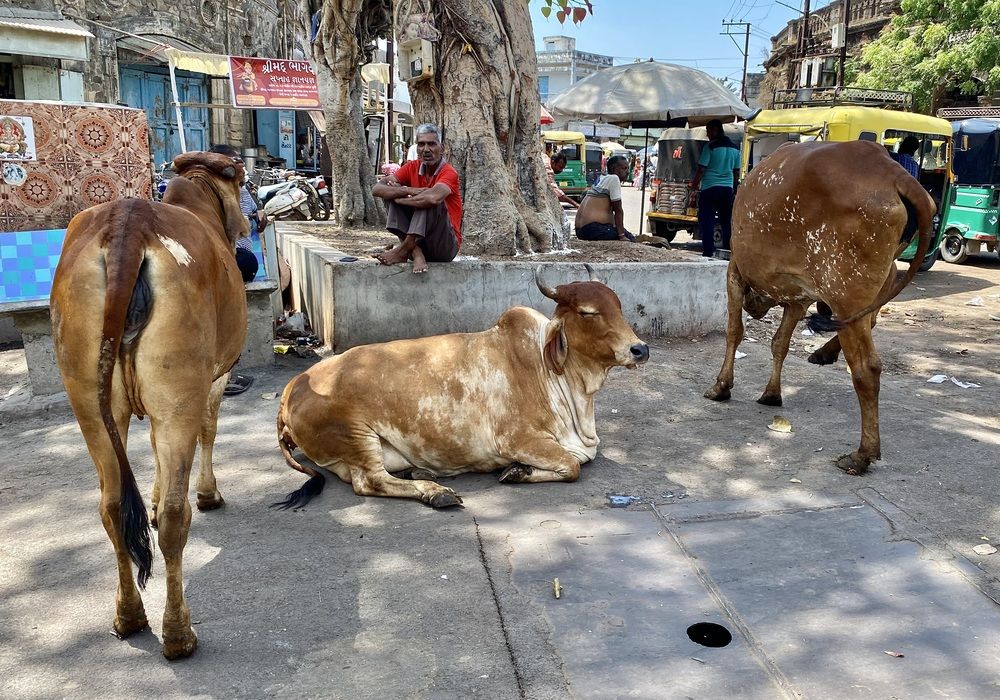 Photograph by Рожнов Кирилл