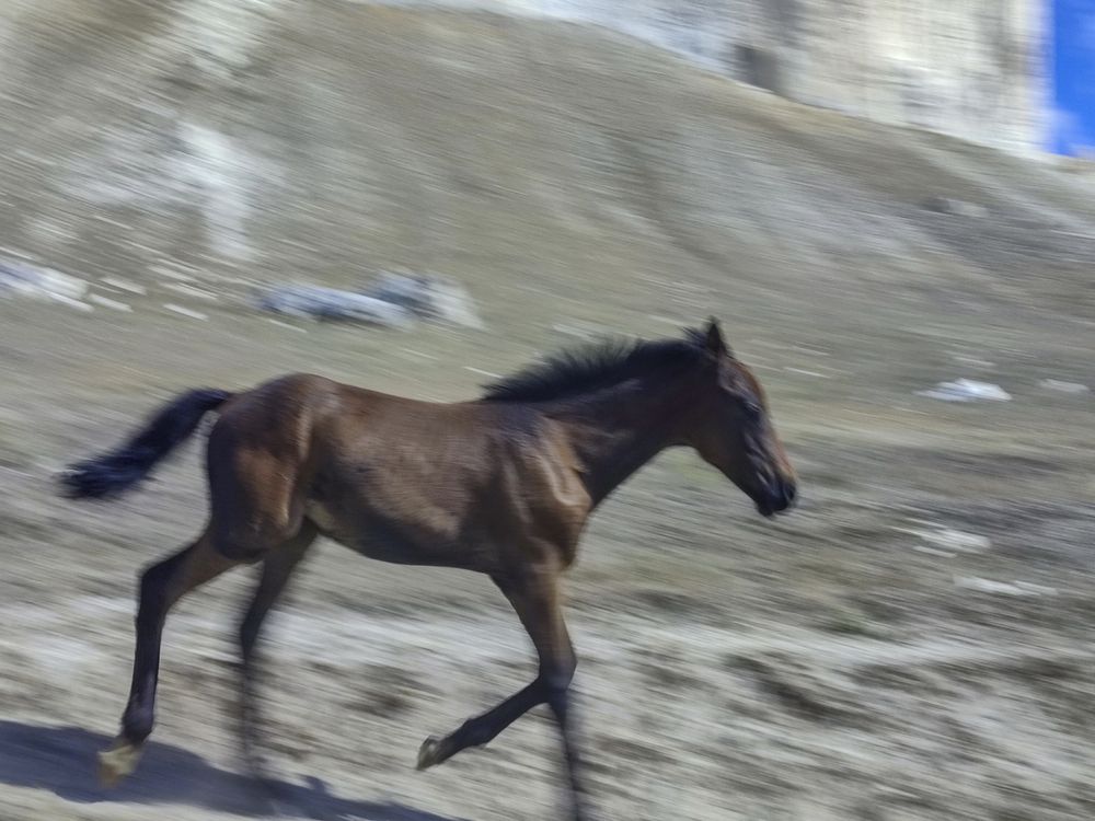 Photograph by Татьяна Петренко