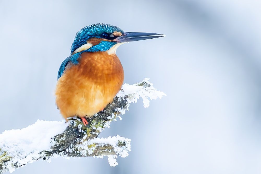 Фотография автора Владислав Колодюк