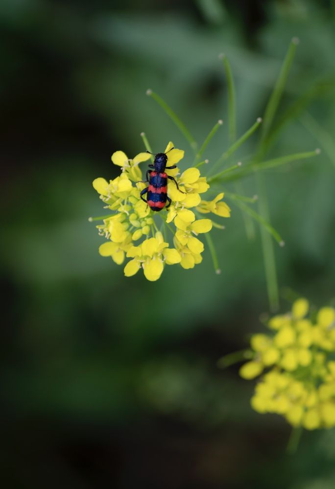 Photograph by Анна Потапова