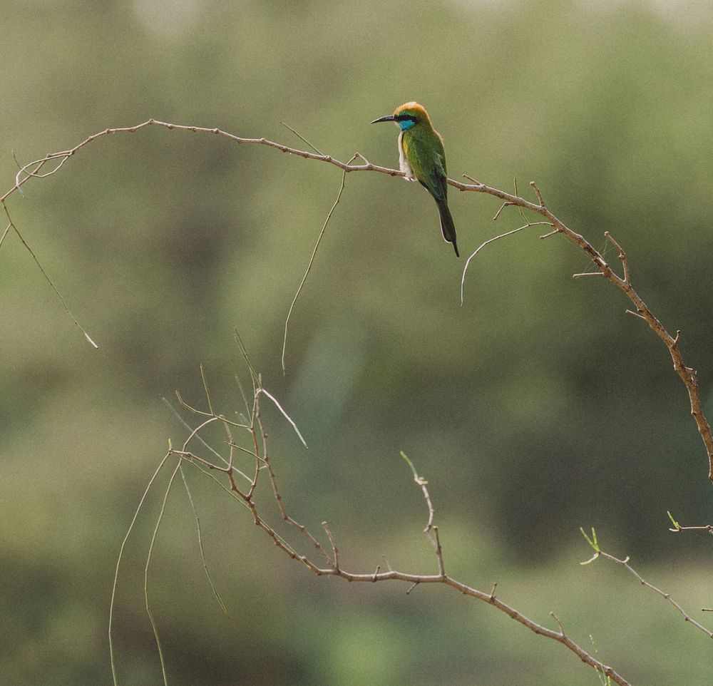 Photograph by Oxana Berezovskaya